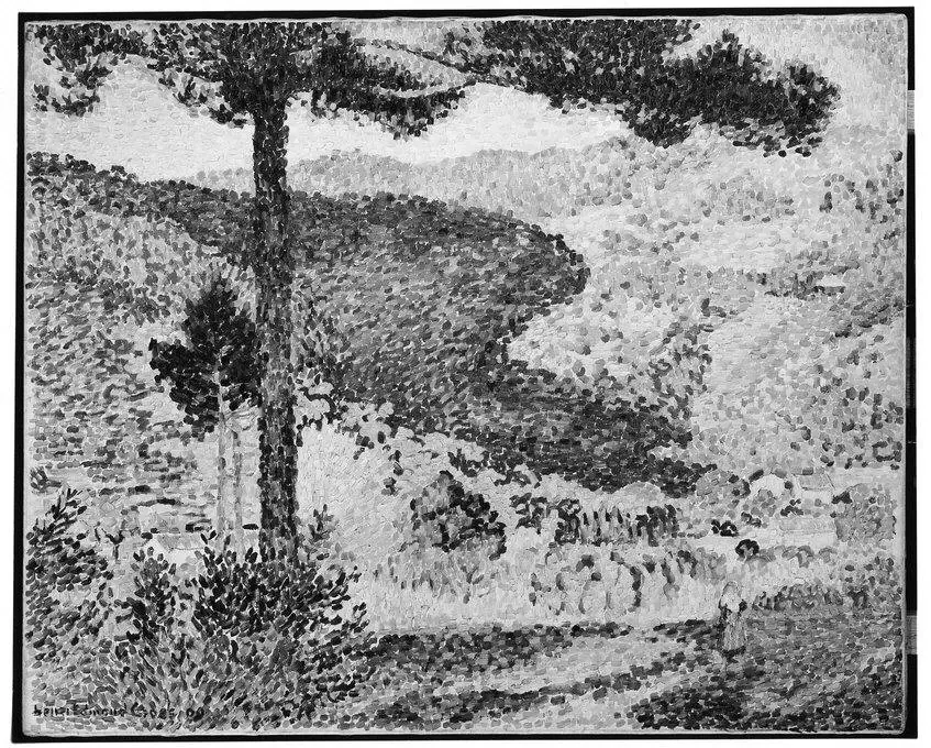 Valley with Fir (Shade on the Mountain)