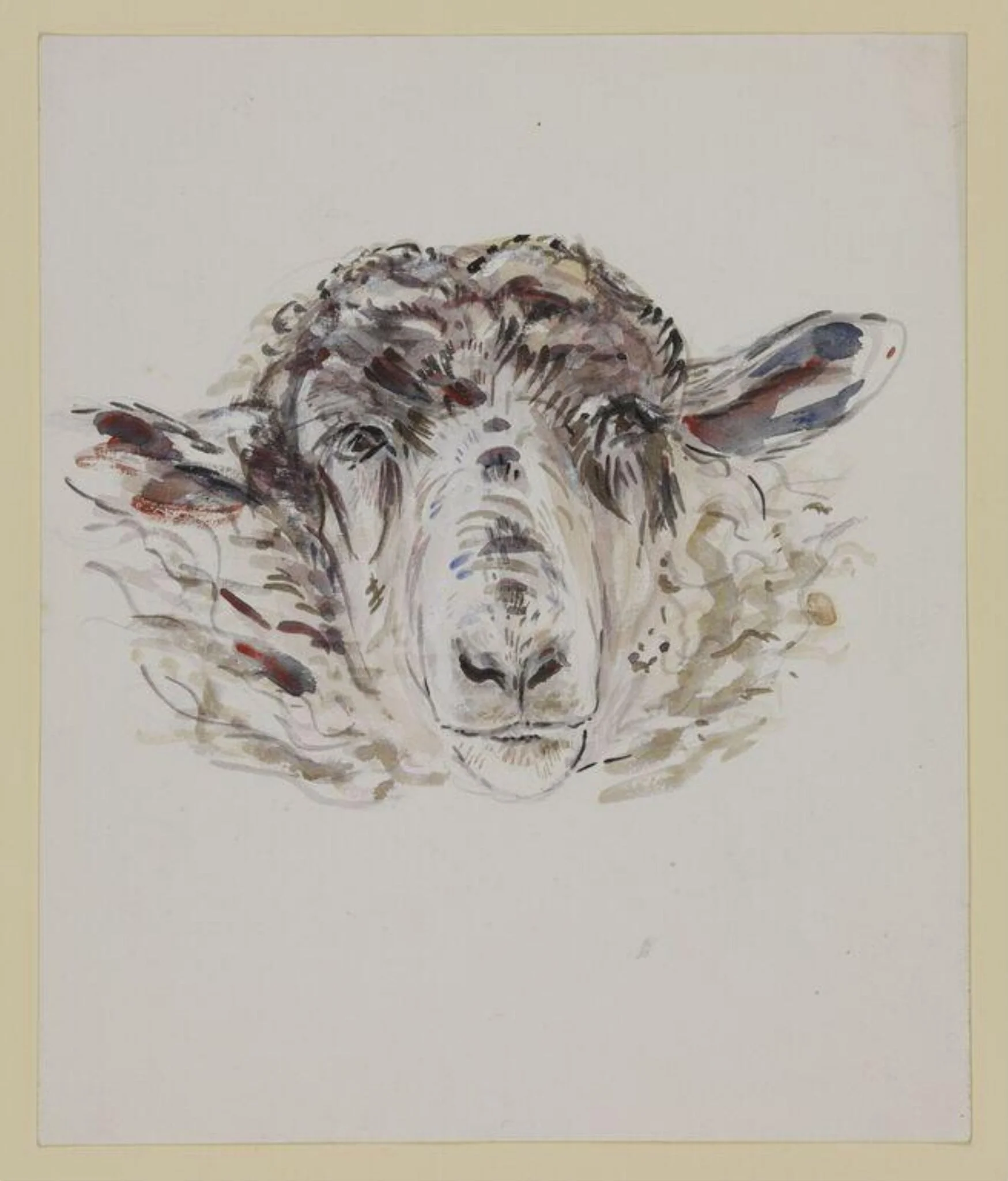 Study of a sheep's head, by Beatrix Potter, watercolor, 1909