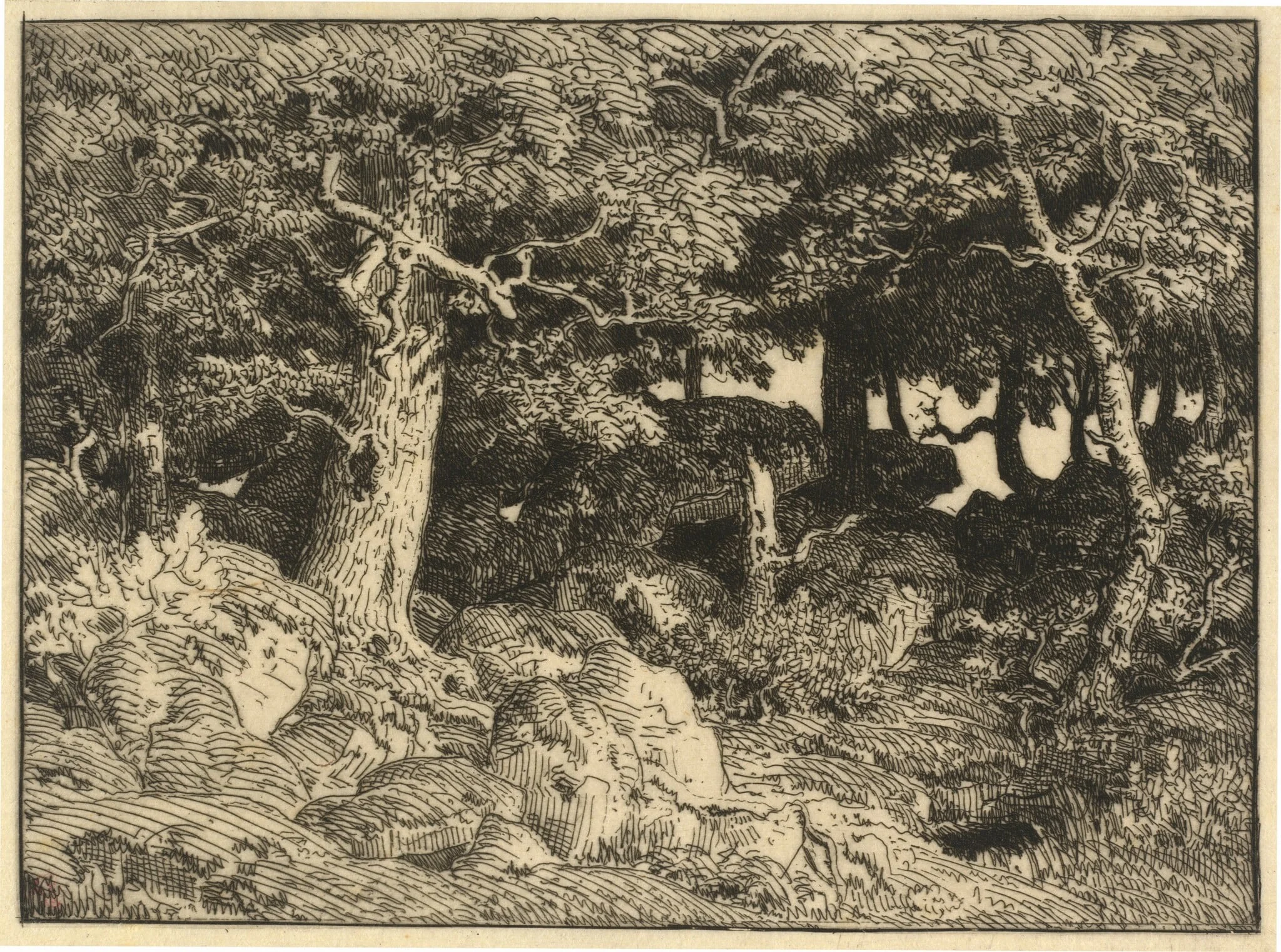 Chenes de Roche (Rock Oaks), by Théodore Rousseau, ink, 1861