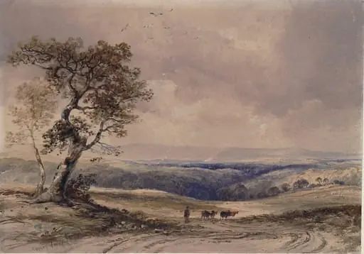 Landscape