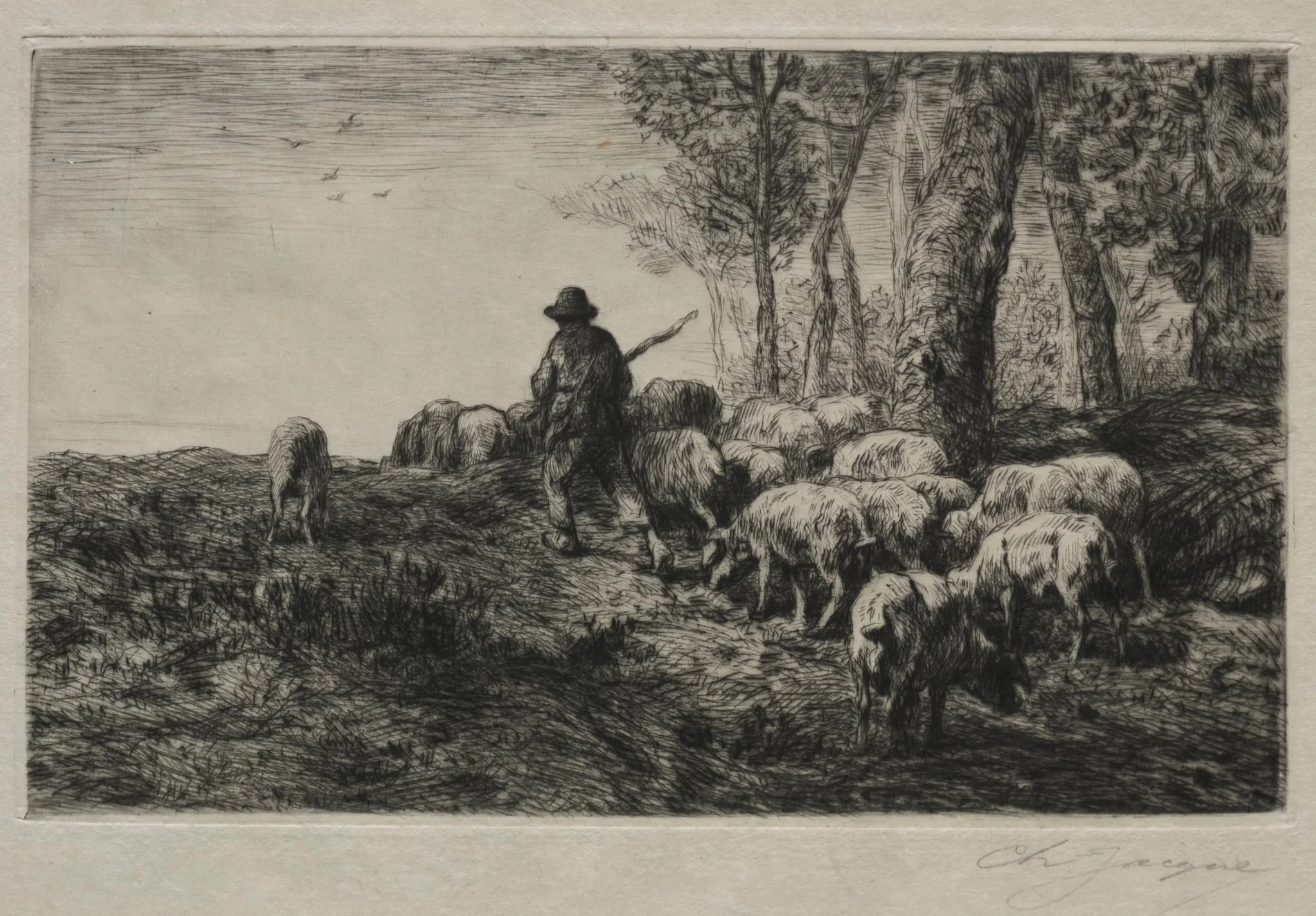 A herd of swine, by Charles Jacque, 1880