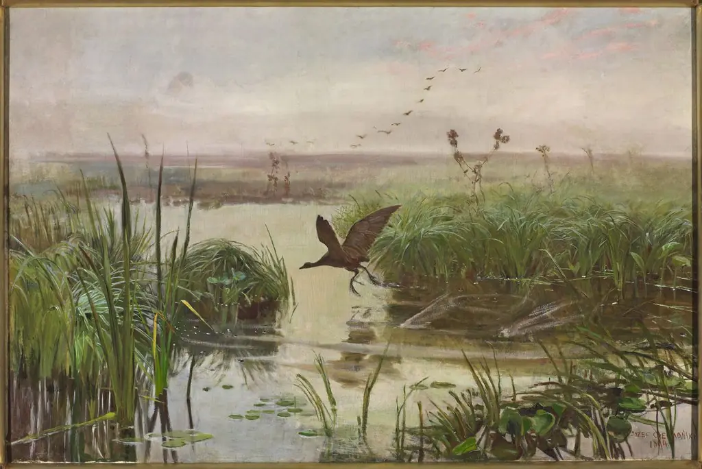 The Water Hen