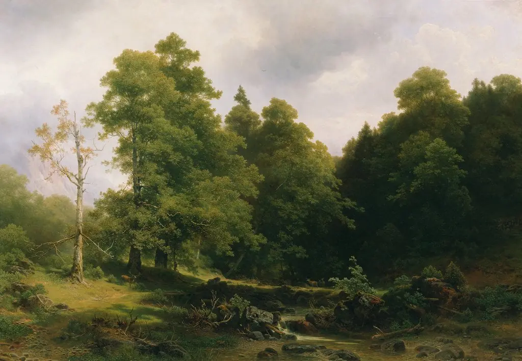 Der stille Waldwinkel