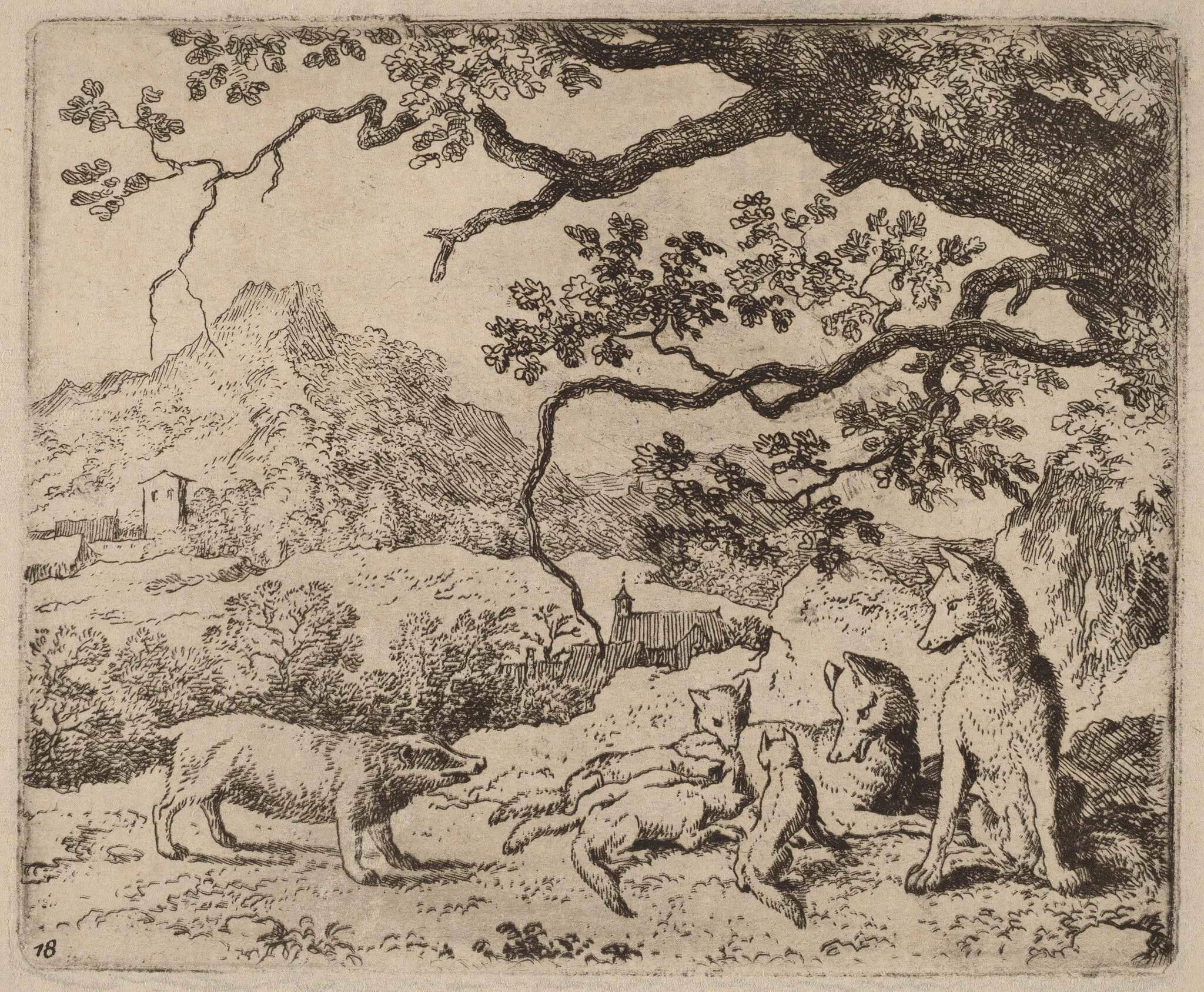 The Badger Sent as Messenger, by Allart van Everdingen, ink, 1650
