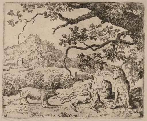 The Badger Sent as Messenger