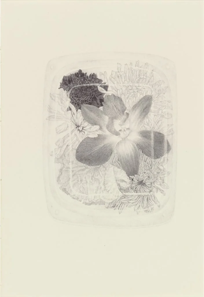 Untitled, by Renato Orara, 2004