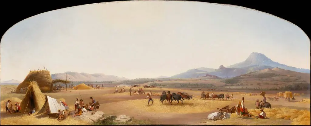 Harvesting on the Roman Campagna