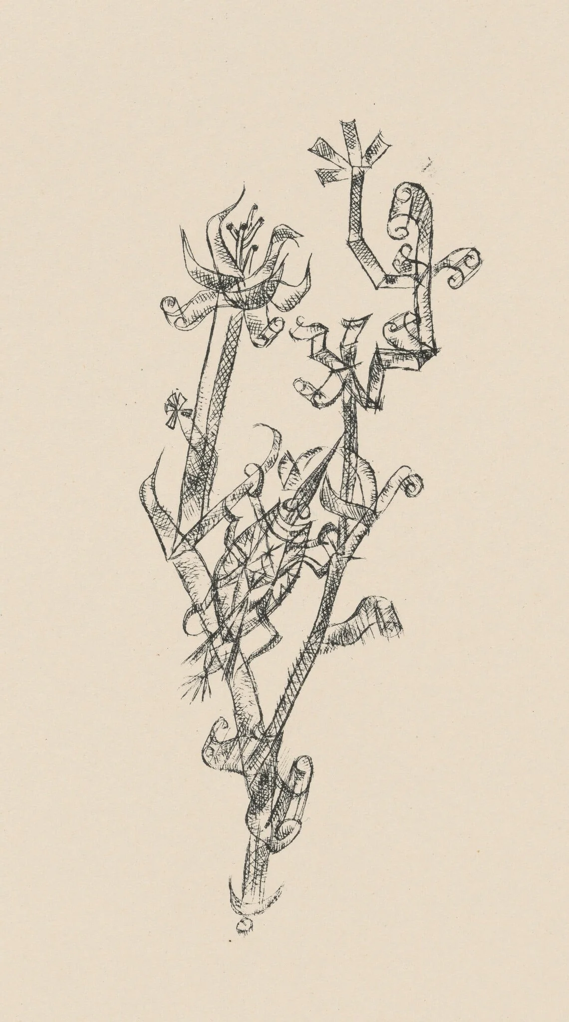 Riesenblattlaus (Giant Aphid) from Deutsche Graphiker der Gegenwart (German Printmakers of Our Time)