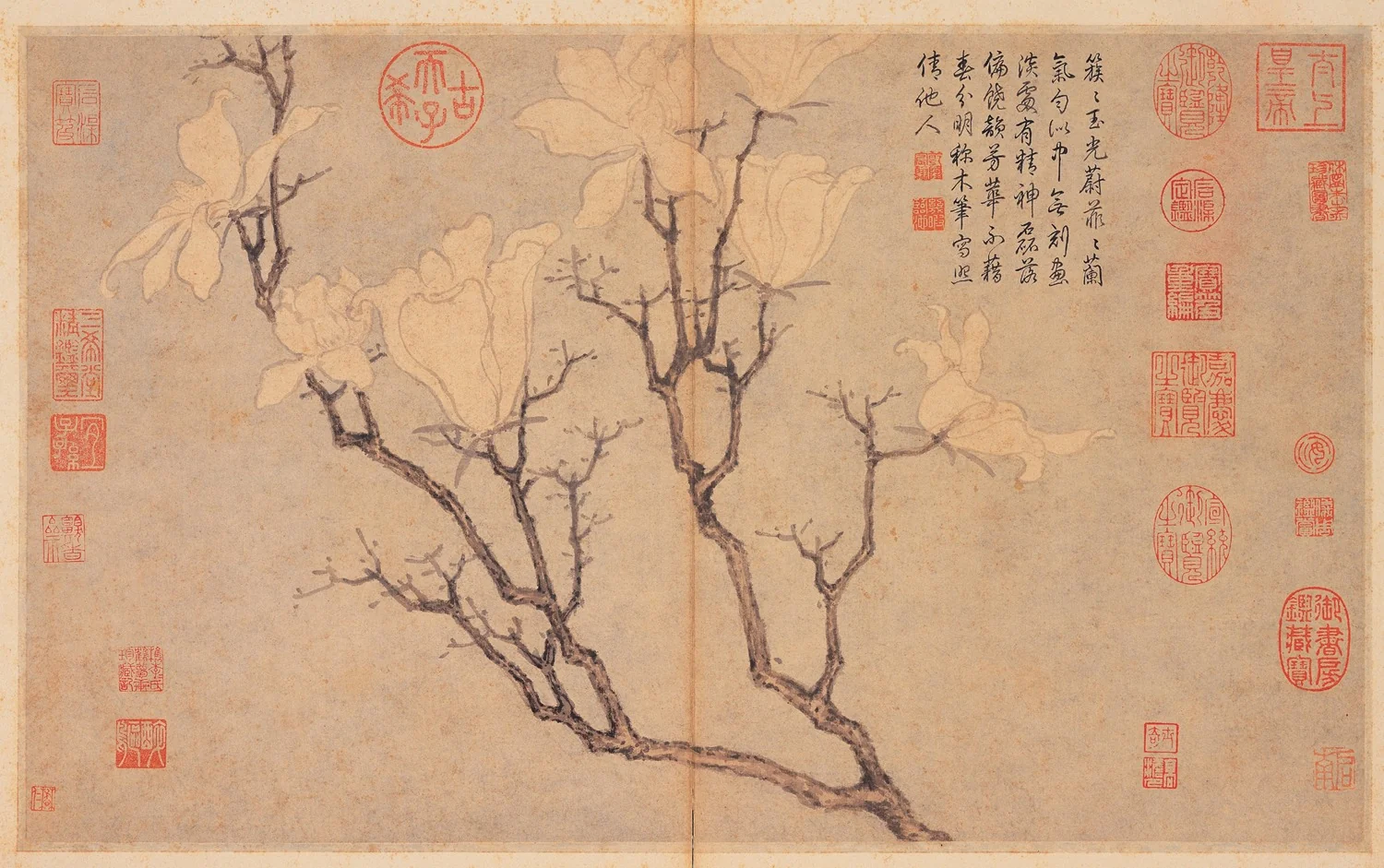 Magnolia, by Shen Zhou, unspecified, 1498