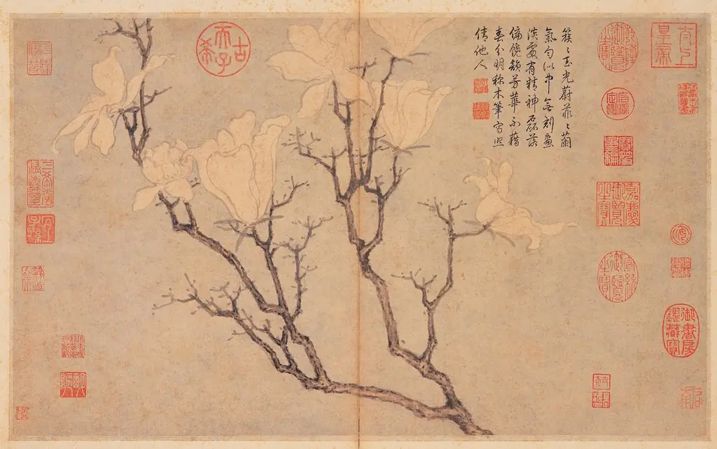 Magnolia