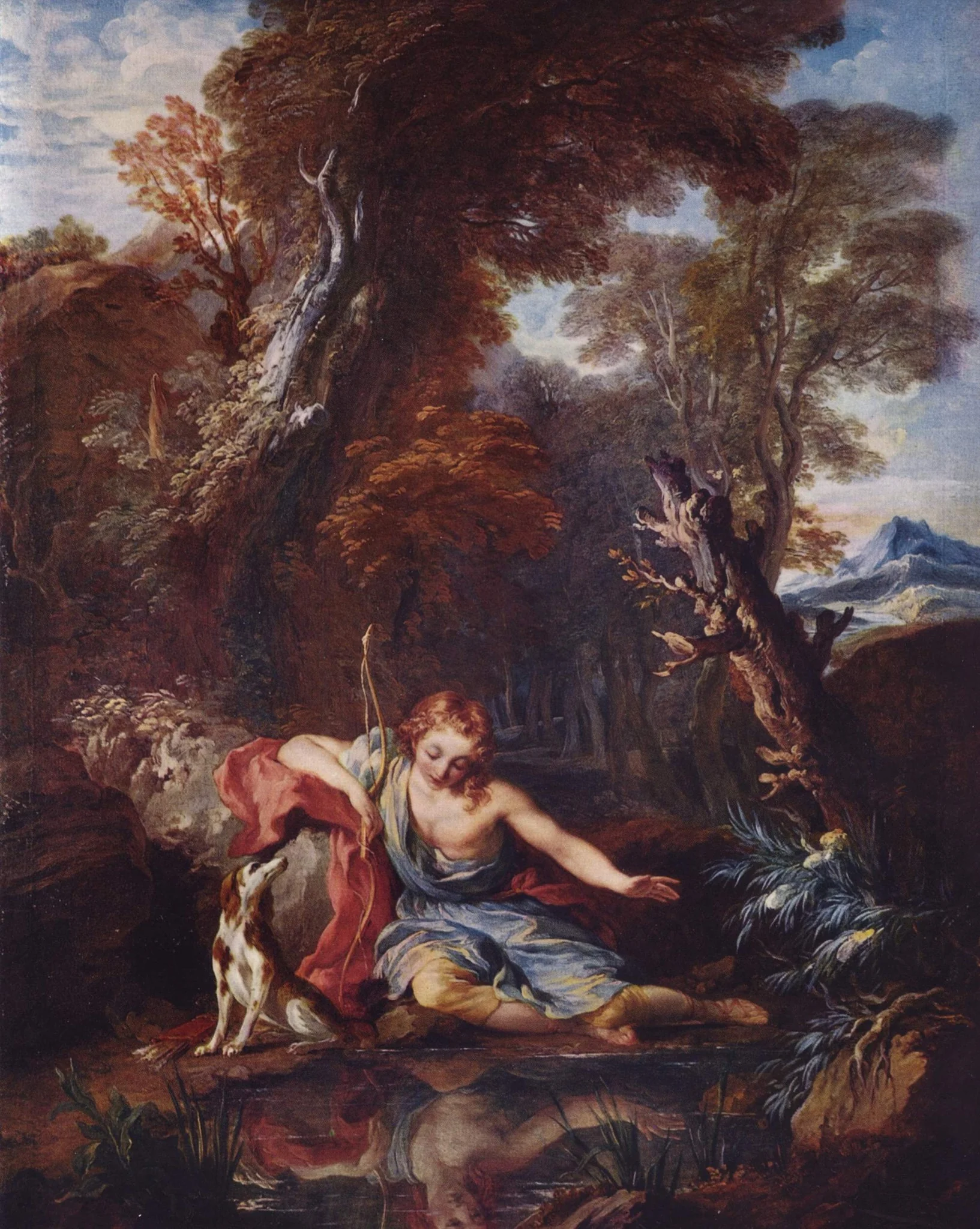 Narcissus.