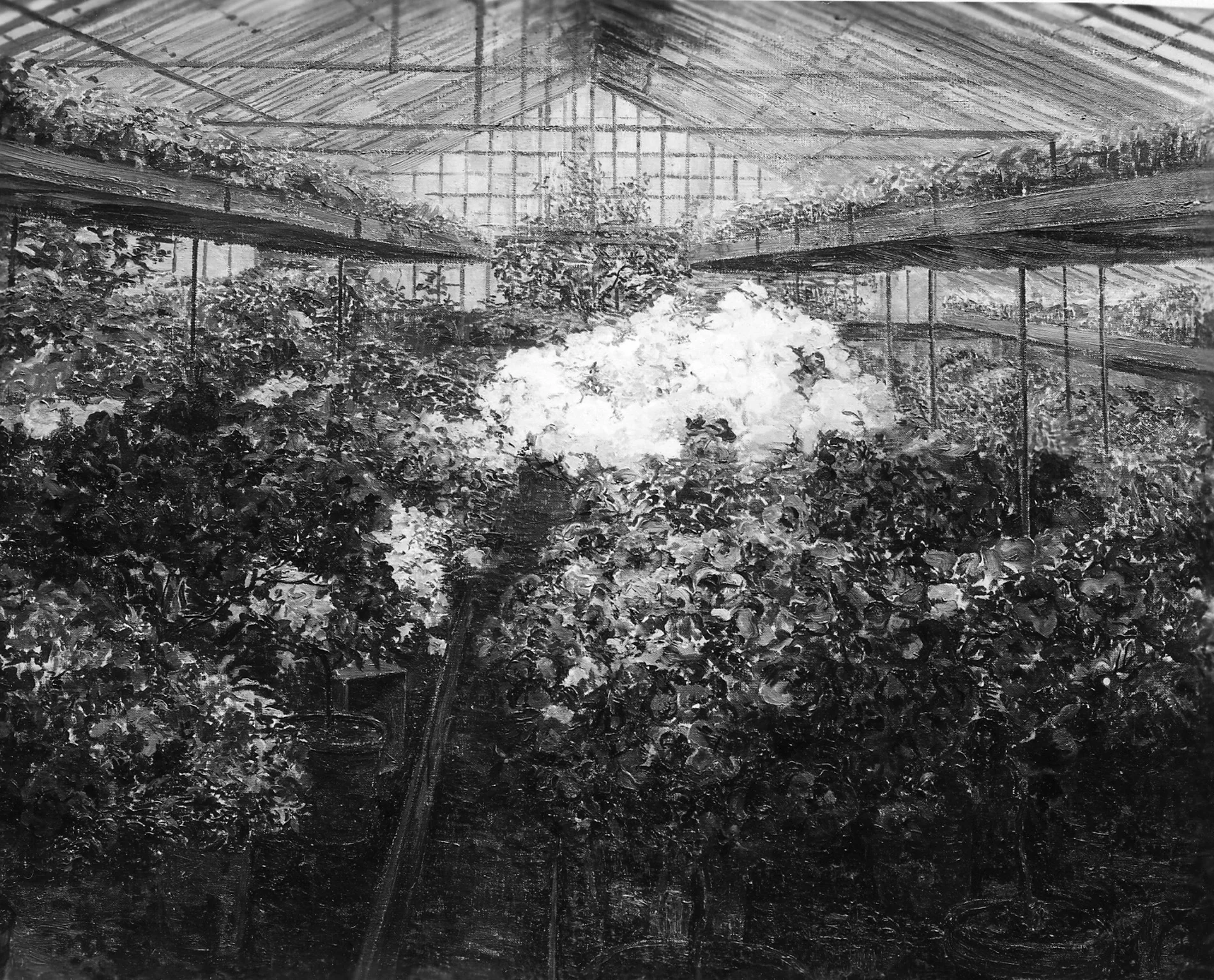 Azalea greenhouse, by Marie Antoinette Marcotte, unspecified, 1910