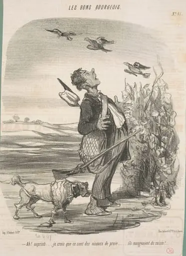 Ah! ... Je crois que ce sont des oiseaux de proie ...
