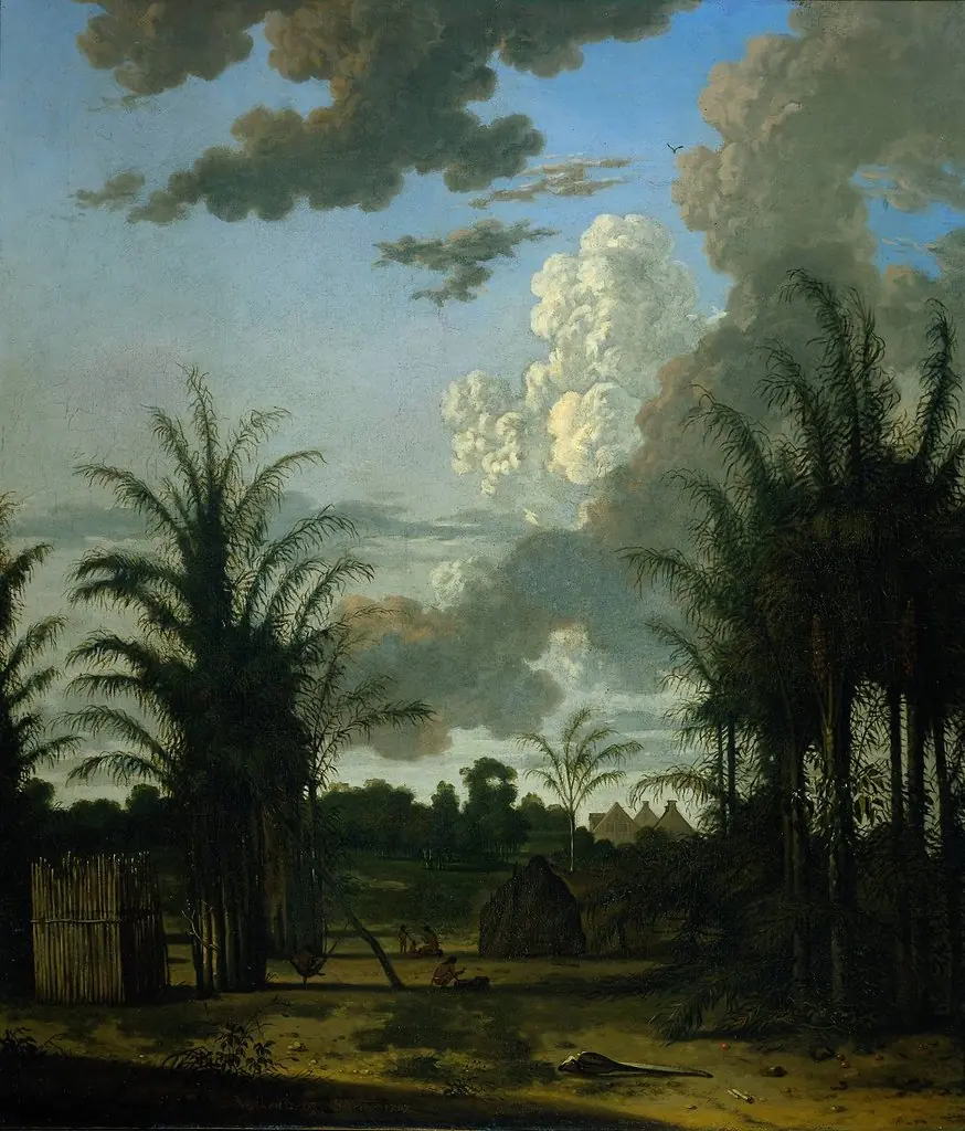 Plantation in Suriname