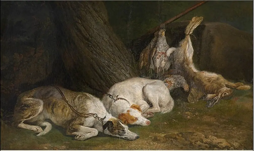 Two Greyhounds
