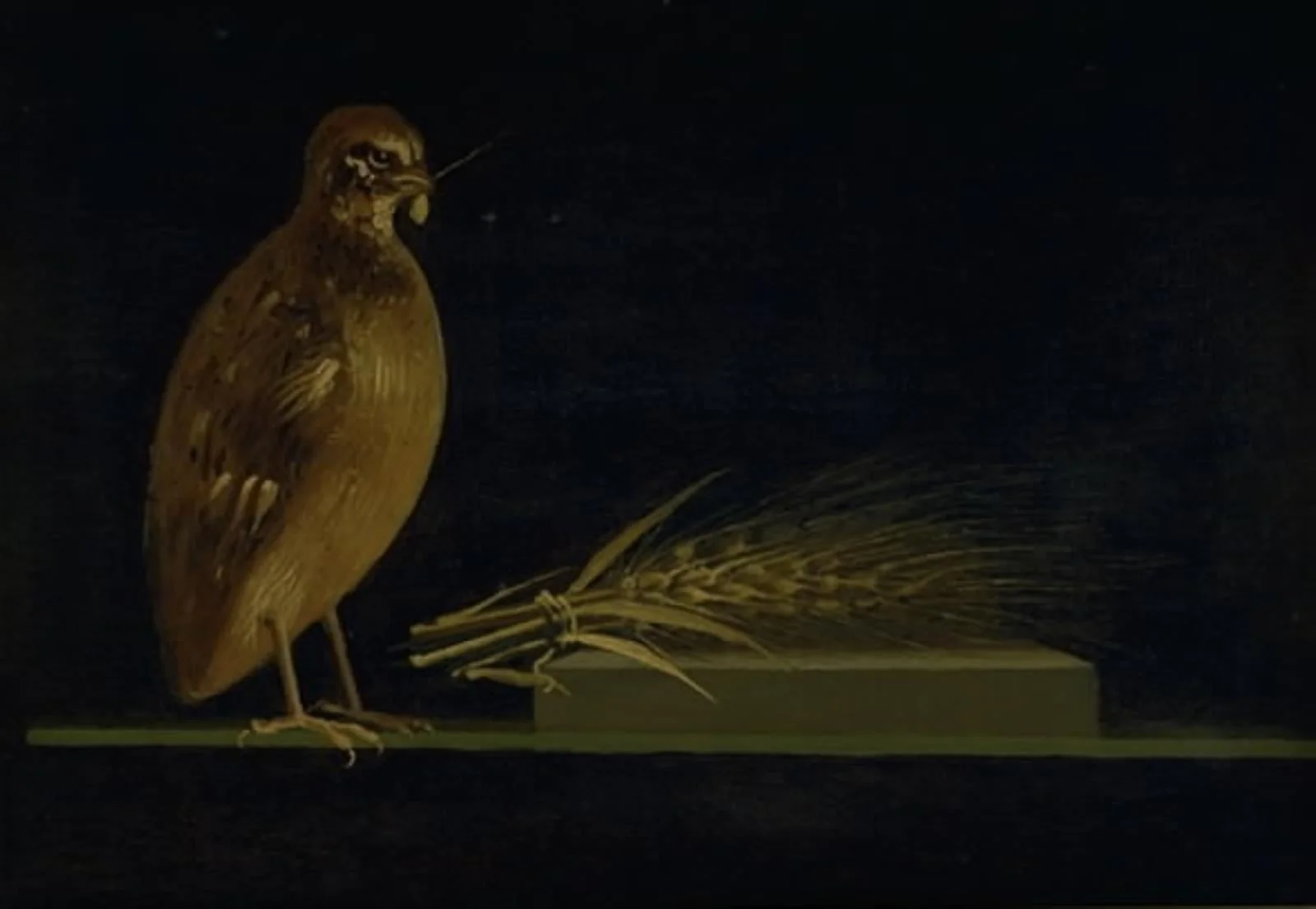 A Quail Eating an ear of Corn, by Unknown, 1839