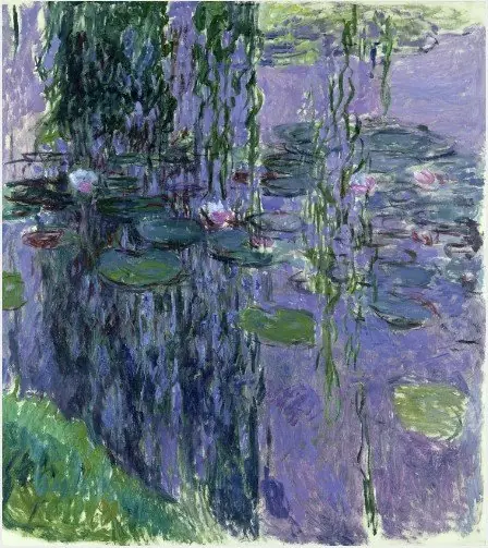 Water-Lilies
