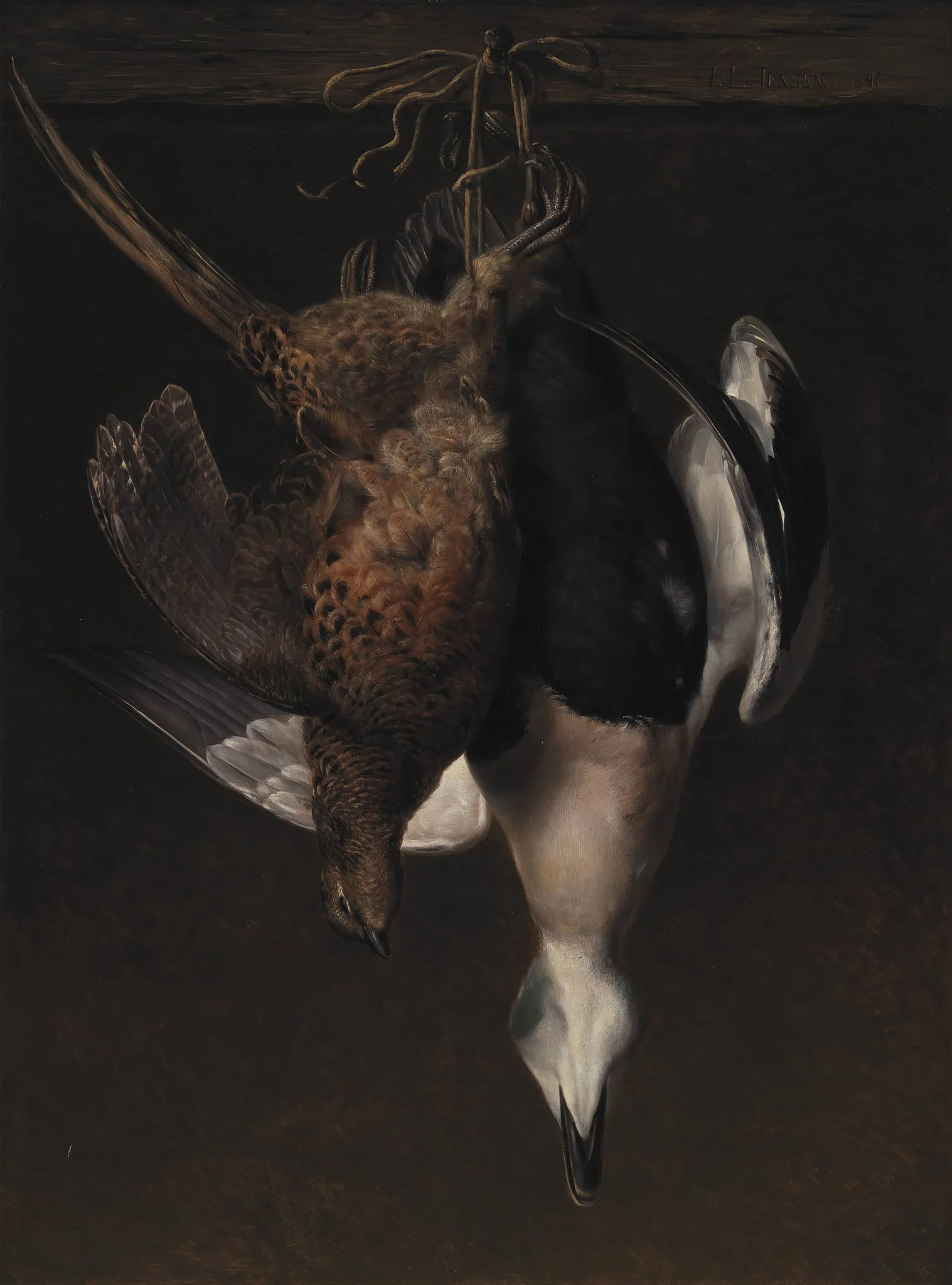 Game. A Pheasant and an Eider, by Unknown, 1846