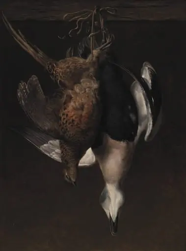 Game. A Pheasant and an Eider
