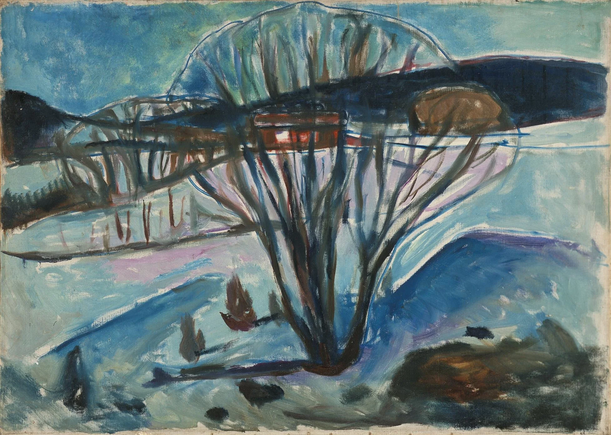 Winter Night