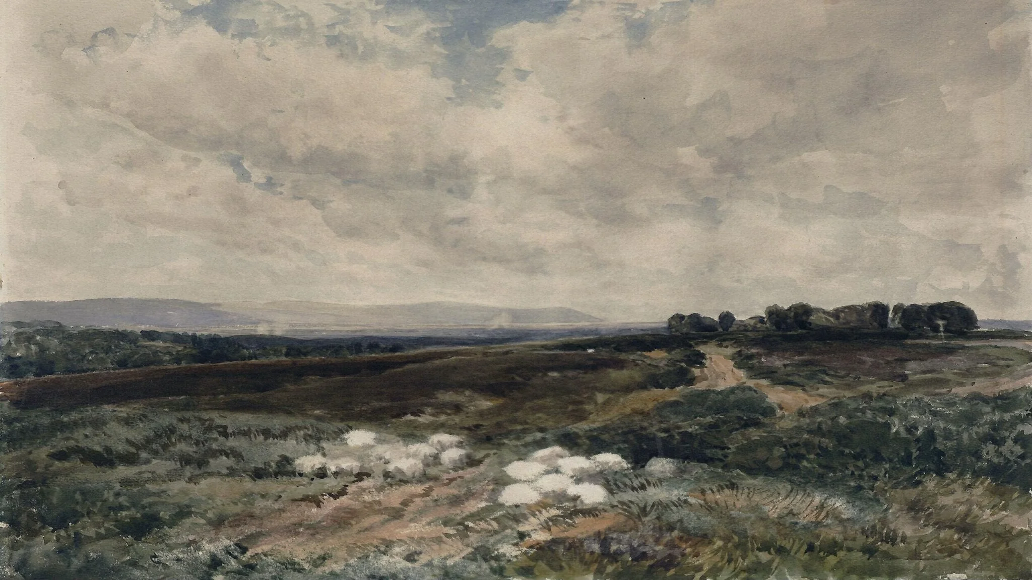 Sheep on a Common, by Edmund Morison Wimperis, watercolor, 1884