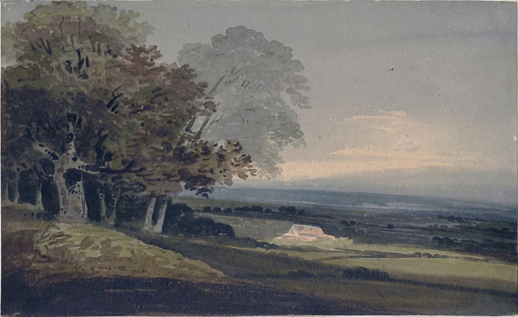 Landscape