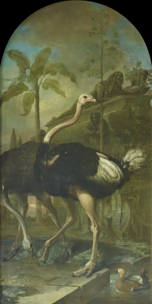 A Pair of Ostriches, a Sarcophagus in the Background