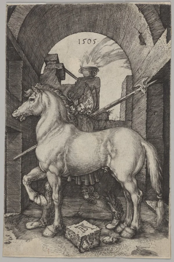 The Small Horse, by Albrecht Dürer, 1505