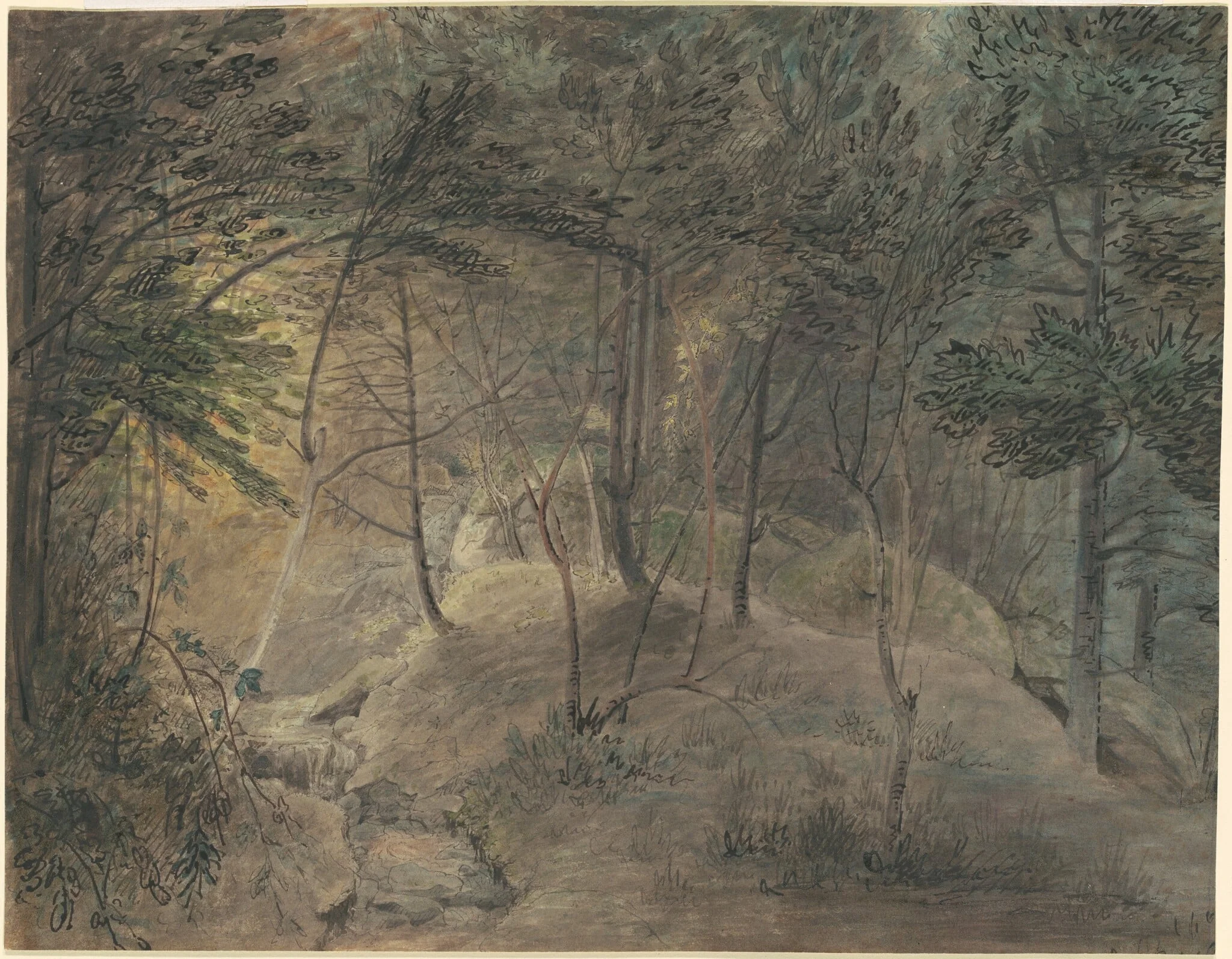 View from the Springhouse at Echo