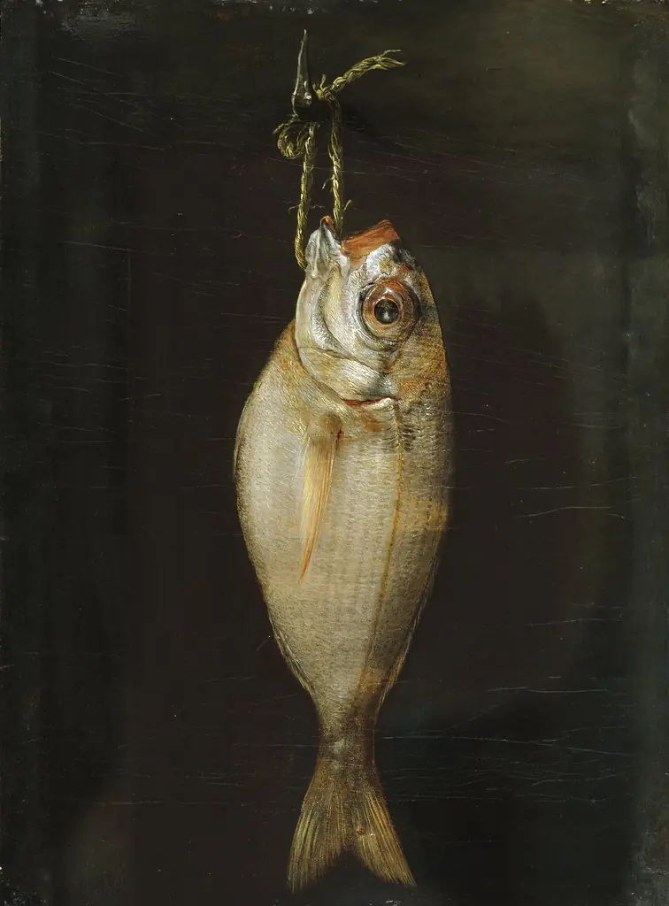 Bream