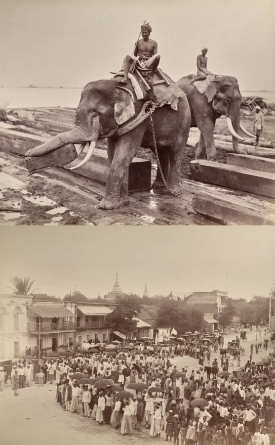 Untitled: (elephants moving blocks of wood, recto); (procession or crowd, verso), by Unknown, 1880