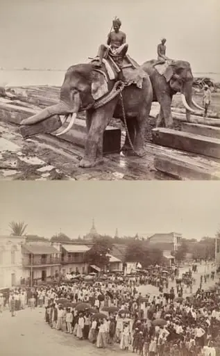Untitled: (elephants moving blocks of wood, recto); (procession or crowd, verso)
