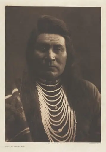 Portfolio VIII, Plate 258: Typical Nez Percé