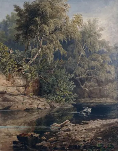 Woodland scene, with a startled heron