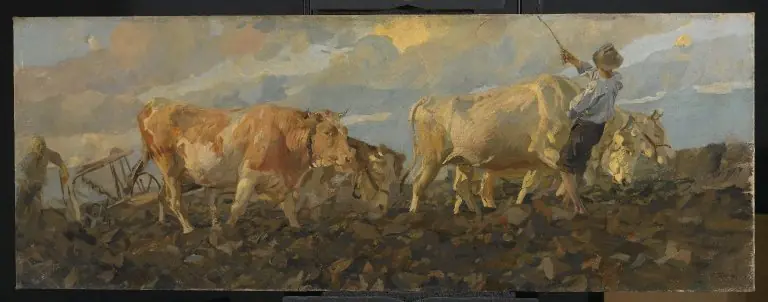Oxen Plowing