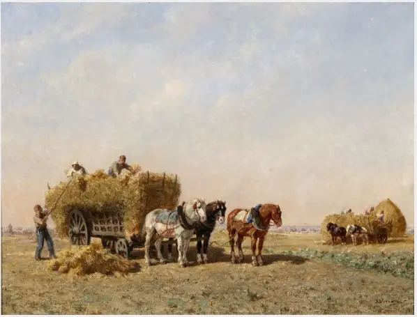 Loading the Corn