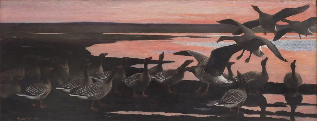 Wild Geese