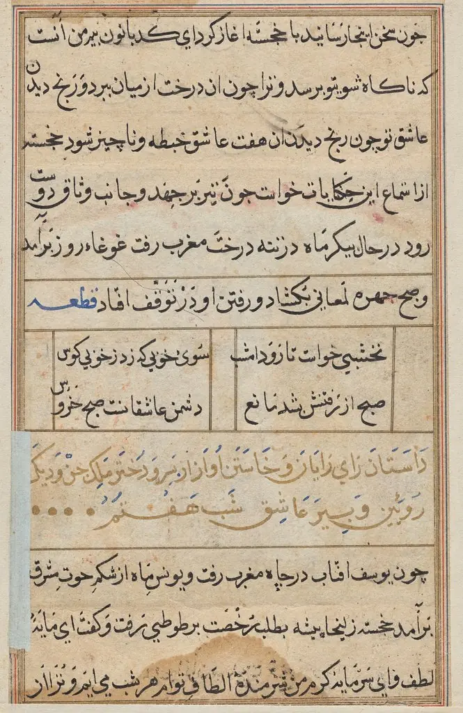 Page from Tales of a Parrot (Tuti-nama): text page