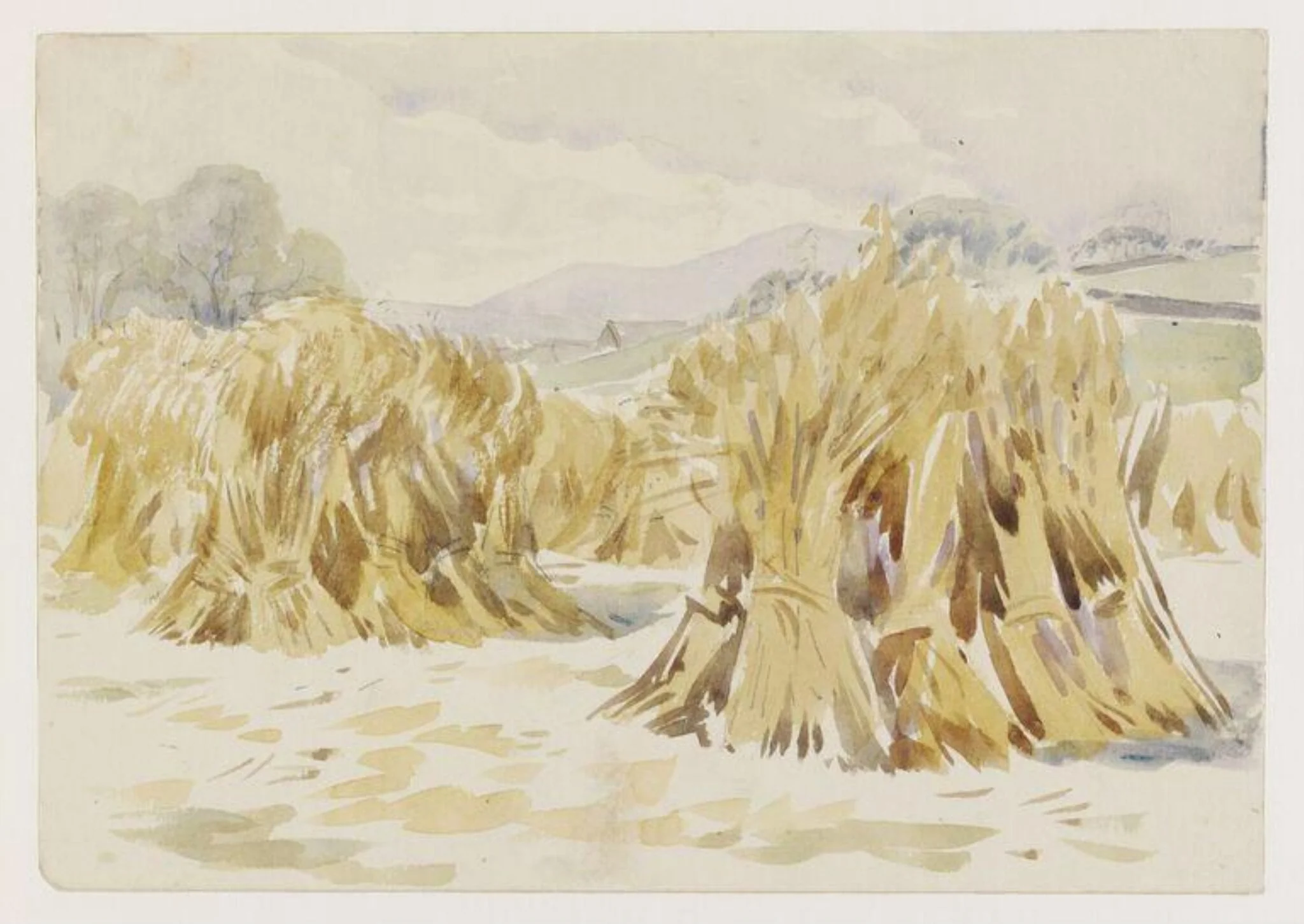 Sheaves of corn in a field, Sawrey, by Beatrix Potter, watercolor, 1950