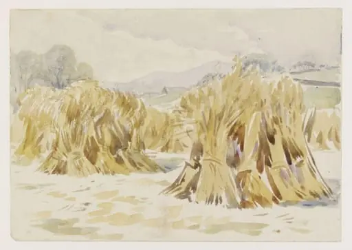 Sheaves of corn in a field, Sawrey