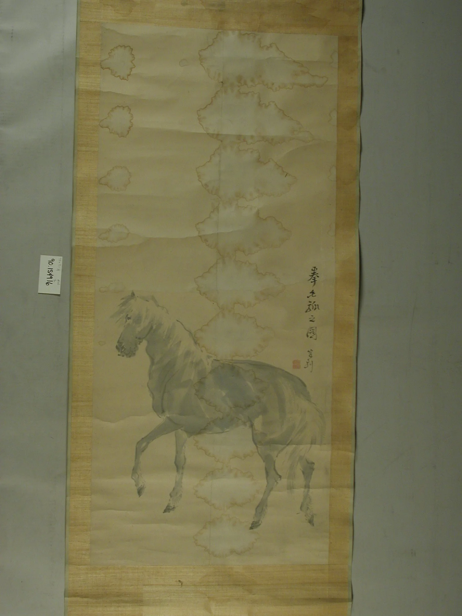 A Horse