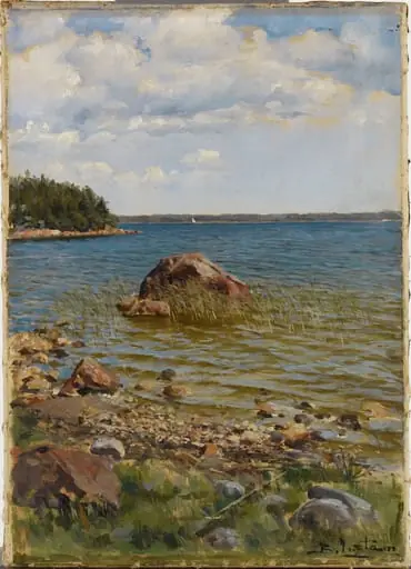 Maisema