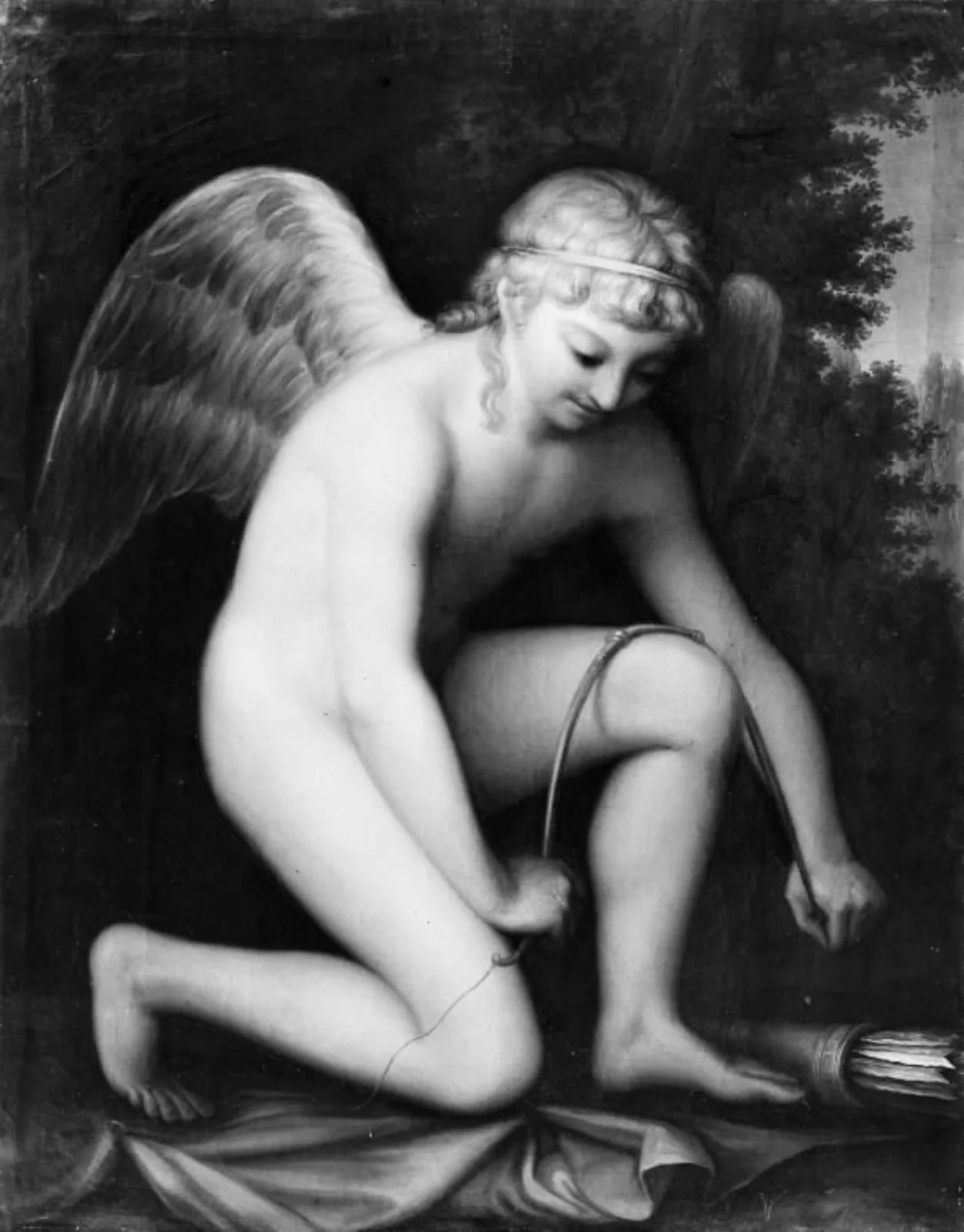 Amor spænder sin bue