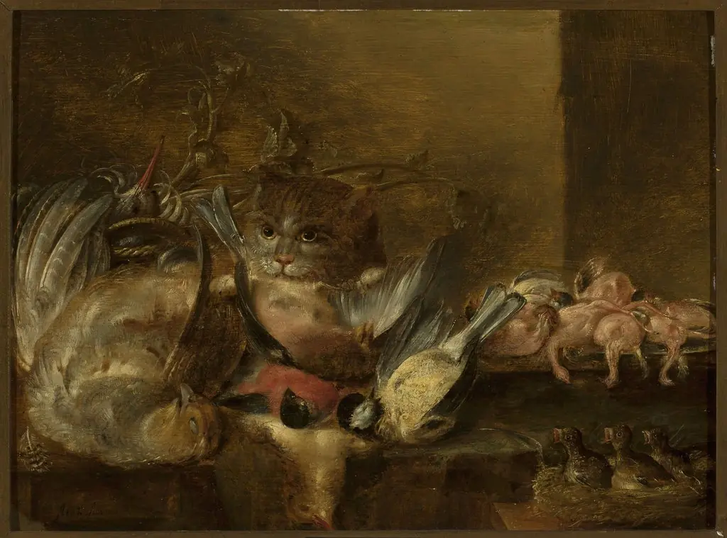 Dead birds and a cat