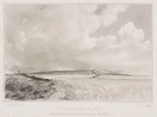 Cornfield near Brighton