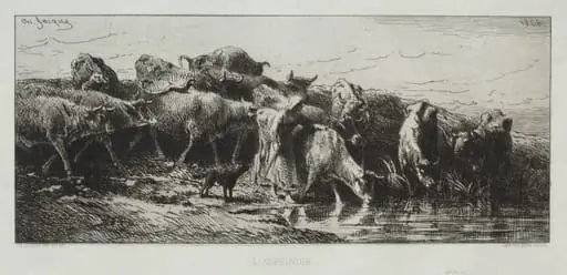 L'Abreuvoir