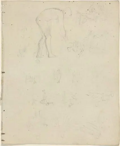 Sheet of Studies [recto and verso]