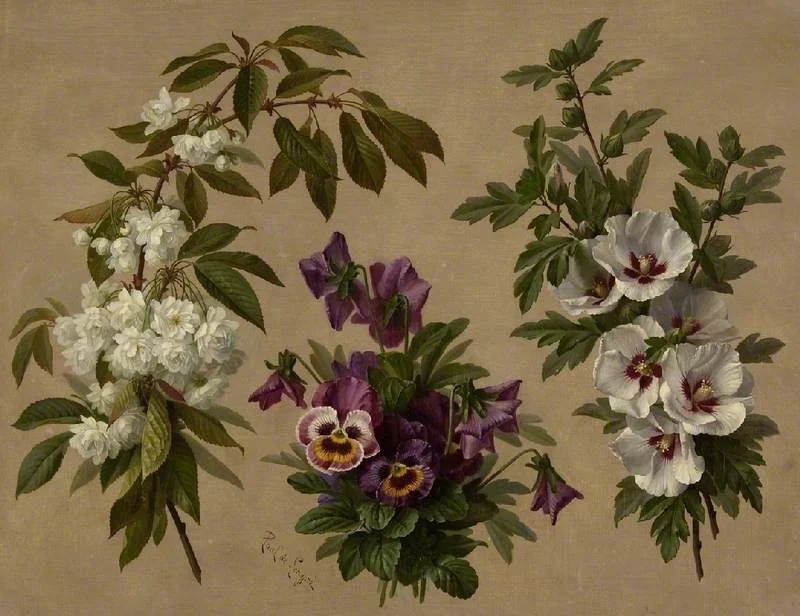 Three flower and shrub plants, by Paul de Longprè, oil