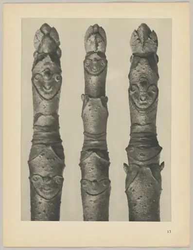 Aesculus parviflora