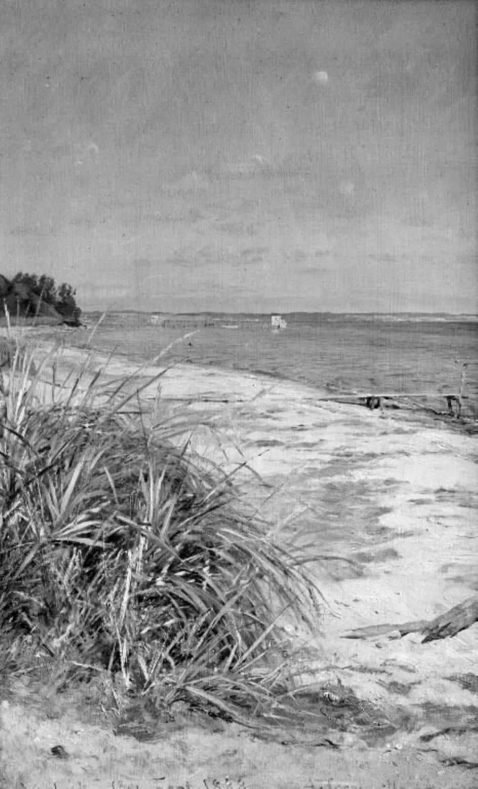 The Coast of Vedbæk, North of Copenhagen, by Unknown, 1888